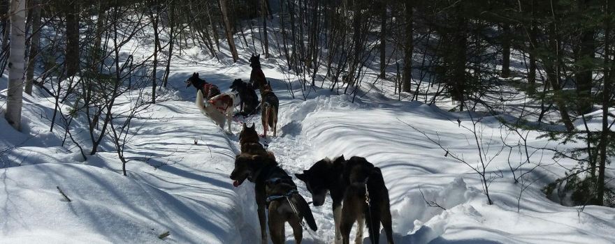 Descente Malbaie