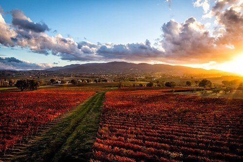 montefalco