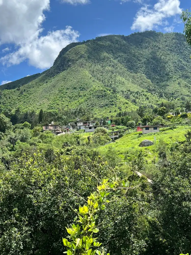 Hidalgo