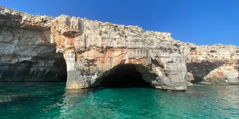 ESCURSIONI NEMO