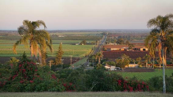 The Hummock Lookout