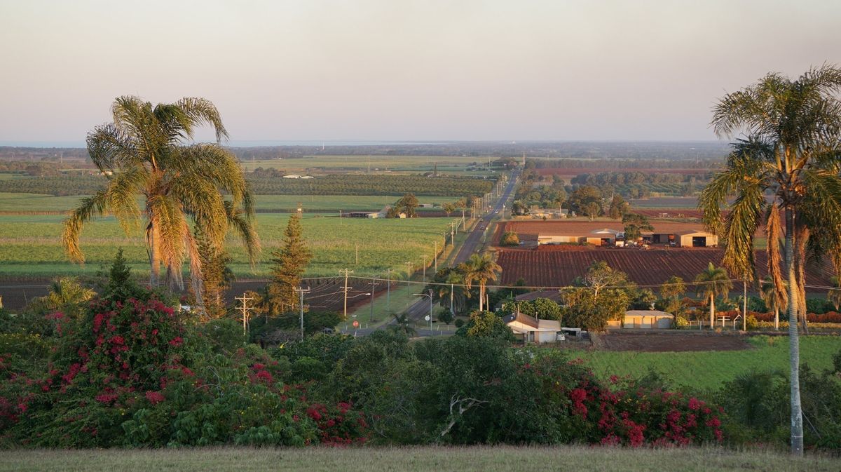The Hummock Lookout