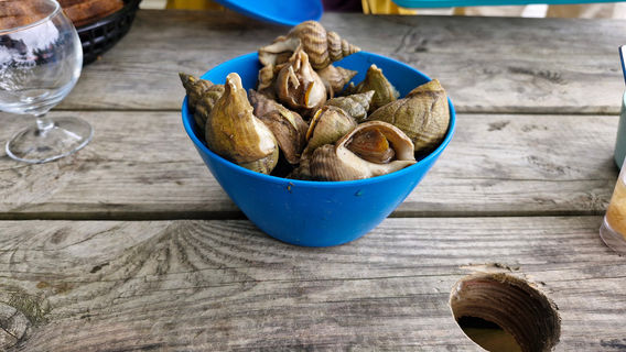 Aux Viviers de Penfoulic