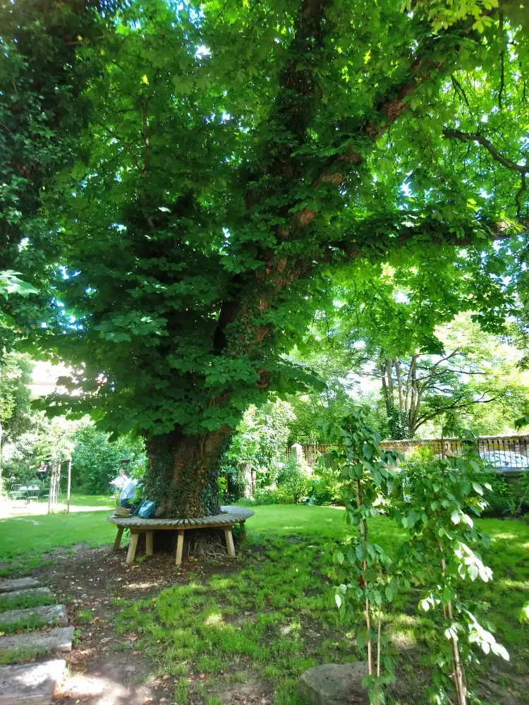 Stadtlauringen 호텔