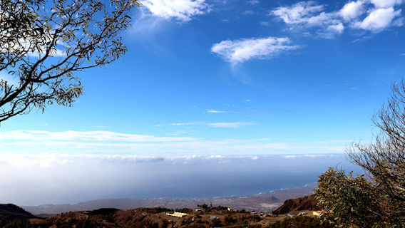 Cova de Paúl