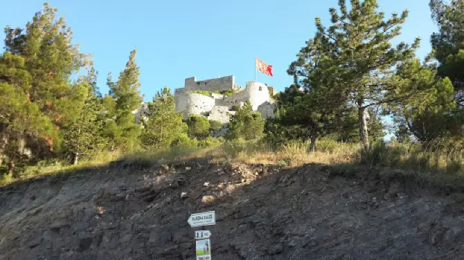 Ataturk Memorial Forest