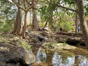 Jayanti Mata mandir with Waterfall