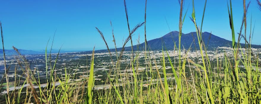 Vista Panoramica