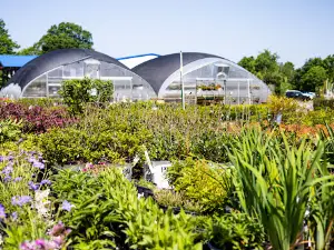 Luxury Garden Center INC