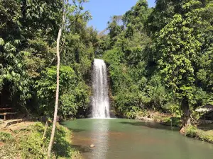 Rừng thông Măng Đen