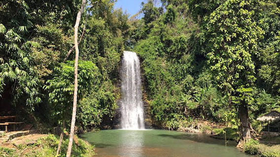 Rừng thông Măng Đen