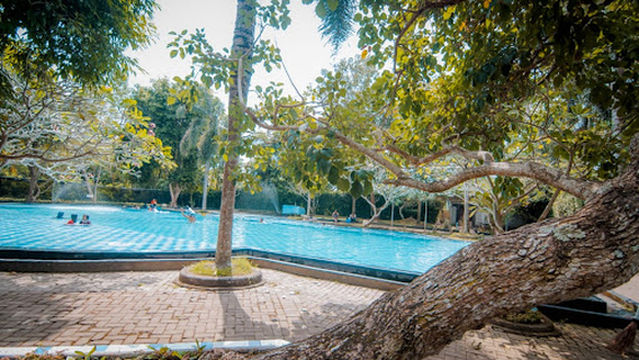 Kolam Renang Kimo Jember