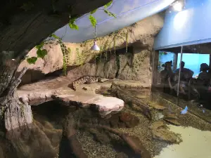 Okeanarium Yekaterinburga