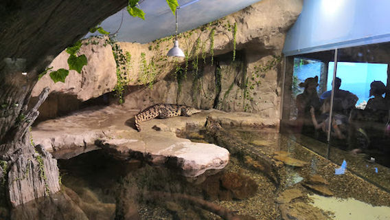 Okeanarium Yekaterinburga