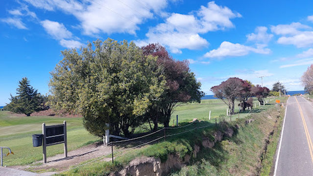 North Otago Golf Club