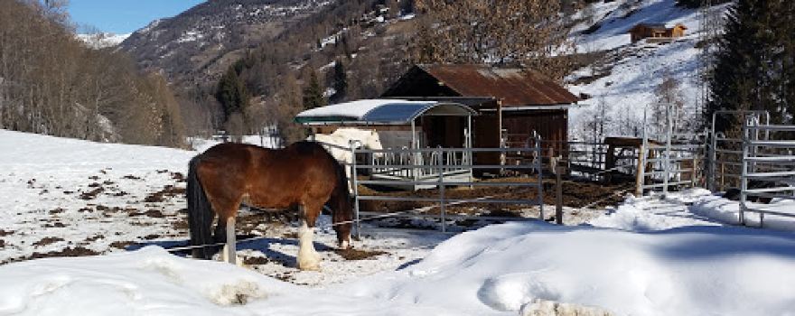Camping du Pont d'Anniviers