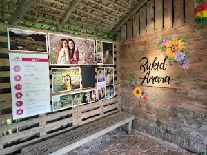 Bukid Amara