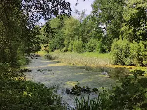Barfußpfad KiWeBu e.V.
