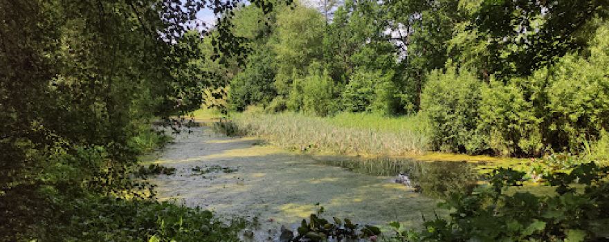 Barfußpark KiWeBu e.V.