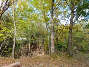Walker Island Family Camping