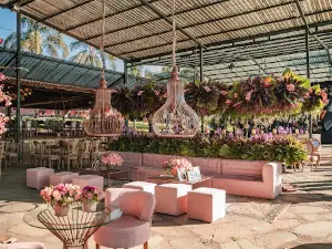 Camuá Eventos