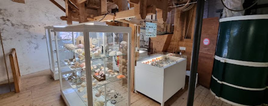 Museum "De Anjumer Molen"
