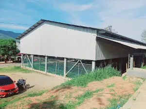 Lapangan si Rio-Rio