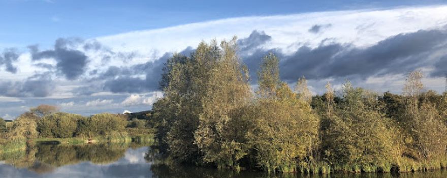 Sevenoaks Fishery