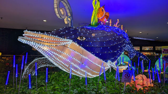 Digital Sports Arena