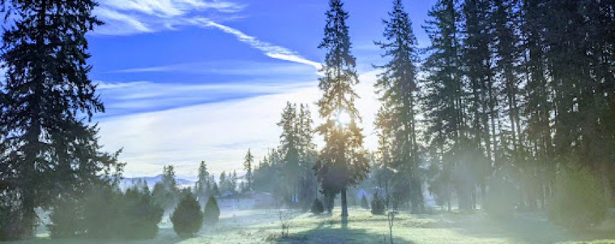 Tall Firs Disc Golf Course