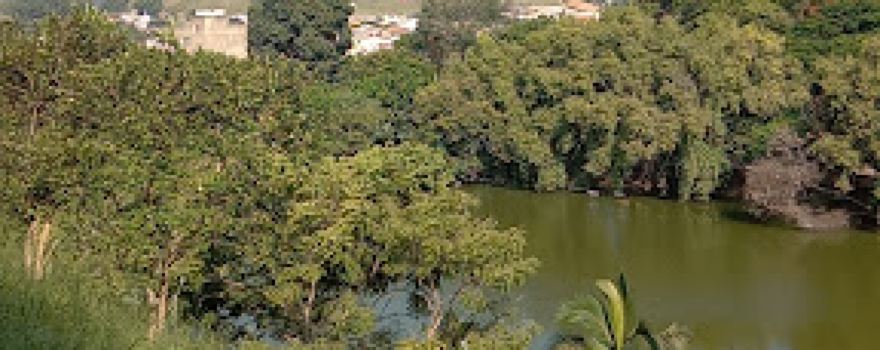 Parque Ecológico