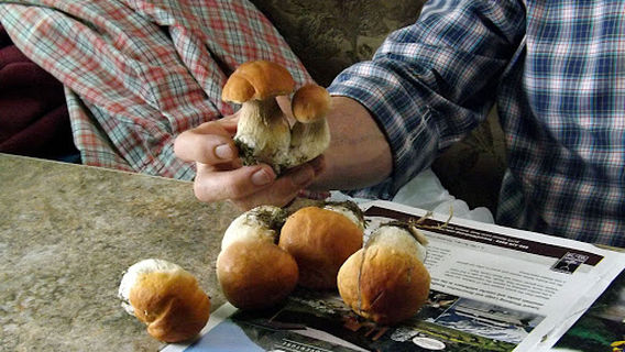 West Fork Campground