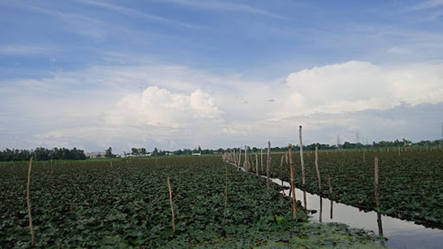 Raja oel mandir medak mandir