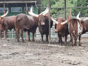 Klaipėdos zoologijos sodas