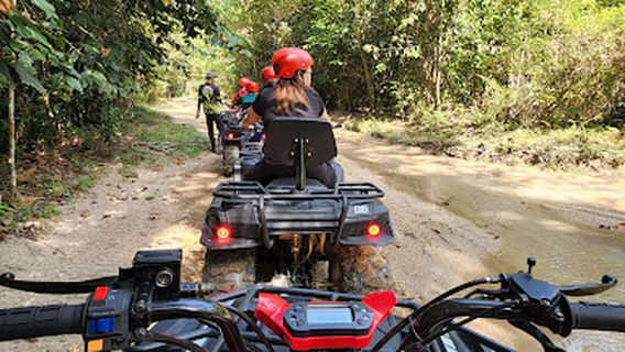 Balik Pulau