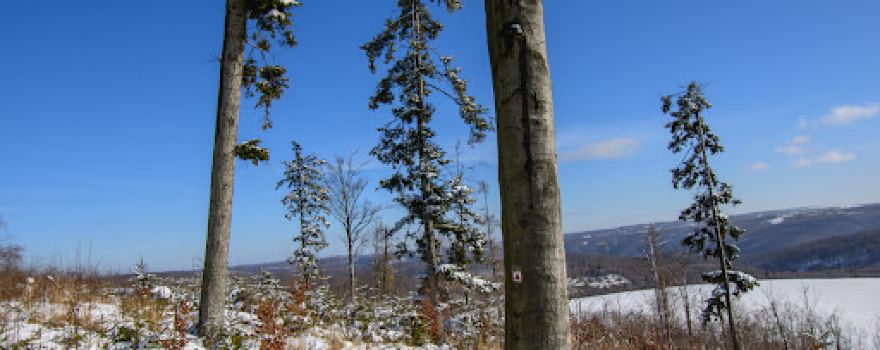 Jedová, vyhlídka