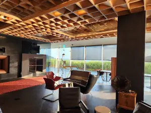 South Cape Owner's Club