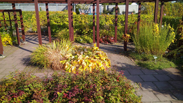 Mikkeli Park Playground