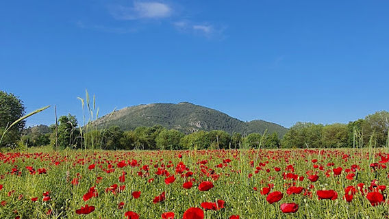 Kayaköy