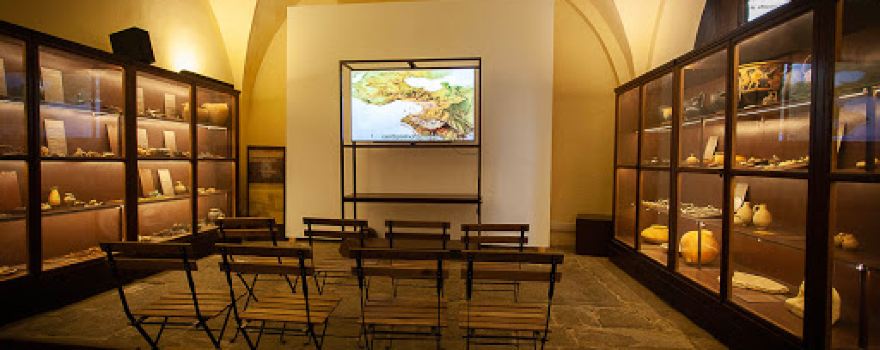 Etruscan Museum of Populonia