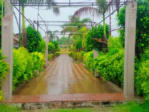 M S Garden