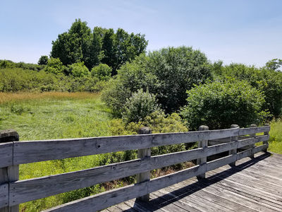 Kanik Nature Trail