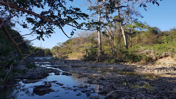 Municipal Stadium La Cruz
