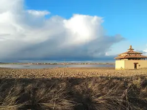 Mirador de aves