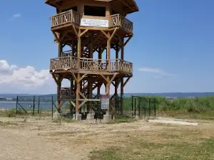 Yeniçağa Picnic Place