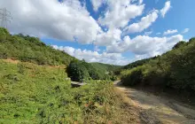 Mimar Sinan Urban Forest NEW