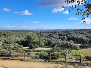 Bois des Espeisses