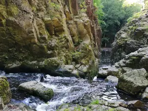 Skryje ponds