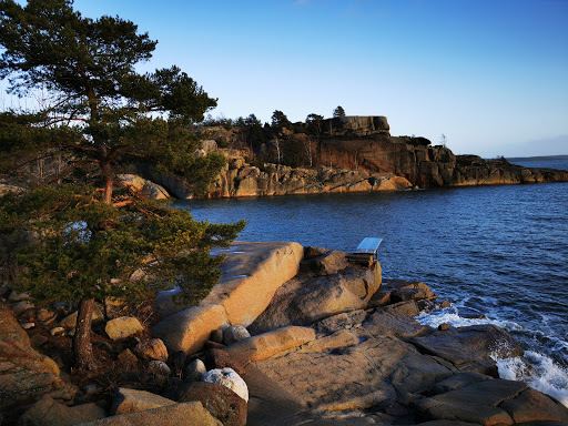 Skjellvika