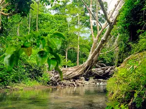 Wisata Alam Semongkat
